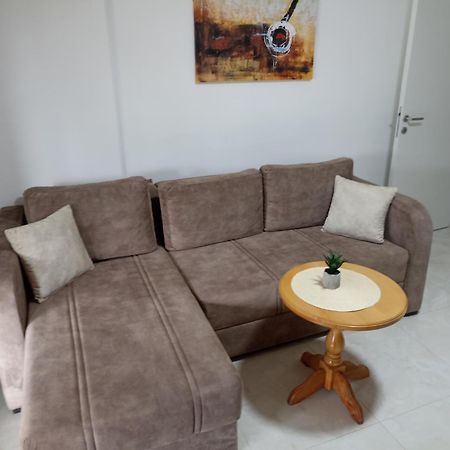 Vila Jezero Bajina Basta Zimmer foto